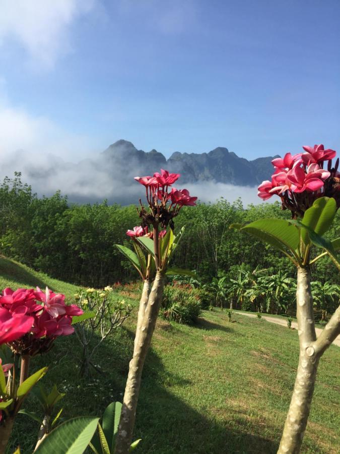 Billion Views Khaosok Homestay Khao Sok National Park Zewnętrze zdjęcie